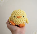 Baby Chick