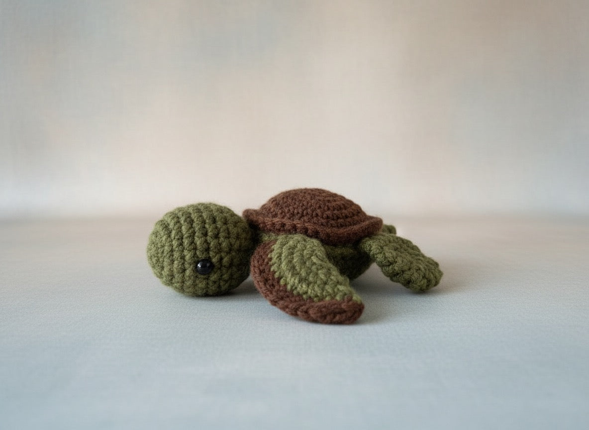 Baby Turtle
