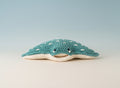 Manta Ray